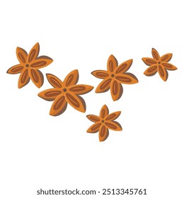 Star anise herb illustration asian cuisine