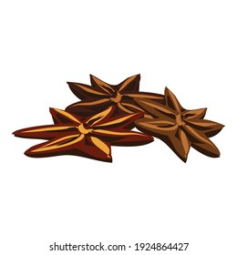 Star anise icon. Cartoon of star anise vector icon for web design isolated on white background