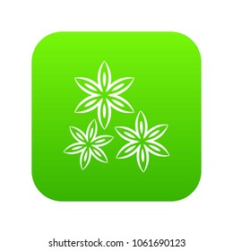 Star anise icon digital green for any design isolated on white vector illustration