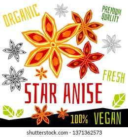 Star anise icon herb label fresh organic condiment, nuts herbs spice condiment color graphic design vegan food. Hand drawn vector illustrations.