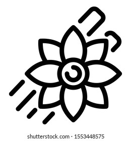 Star anise icon. Outline star anise vector icon for web design isolated on white background