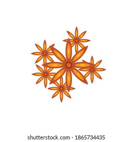 icono del anís de estrella vectorial sobre fondo blanco