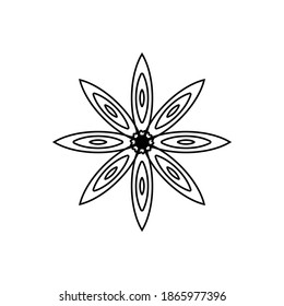 star anise icon vector on white background