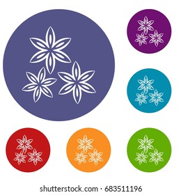 Star anise icons set