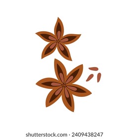 Star anise. illustration of aromatic spice in flat style on white background.