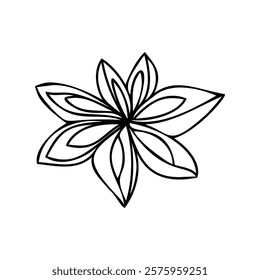 Star anise illustration in minimalistic hand-drawn linear style. Perfect for culinary projects, spice packaging, branding, recipes, and creative designs