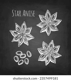 Star Anise Tintenskizze. Früchte und Samen. Handgezeichnete Kreide-Skizze auf schwarzem Hintergrund.