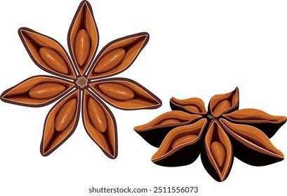 Star anise isolated on white background. Aroma food ingredient, condiment emblem for anise spice packaging design, cuisine menu card decoration, grocery shop, food market. Vector illustration 