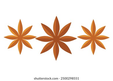 Star Anise Leaf Color Art Capturing the Beauty of Leaf Texture