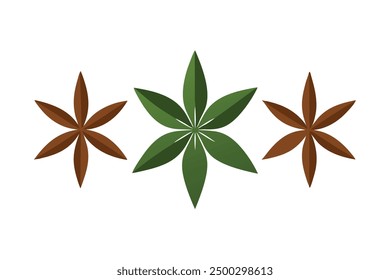 Star Anise Leaf Color Art Nature Inspired Artwork of Classic Star Anise Leaves