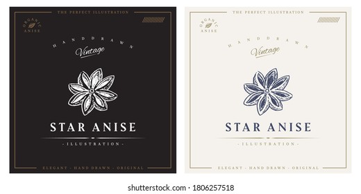 Star Anise logo vintage engraving hand drawn illustration