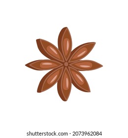 Star anise on white background  vector.