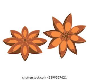 Star anise on white background. Culinary ingredient for baking and drinks, oriental spice badian, popular spice. Top view. vector illustration.