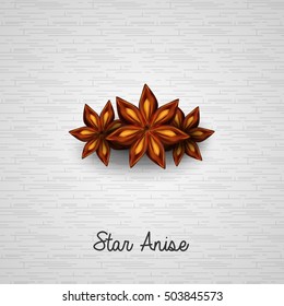 Star anise on white background.Vector illustration