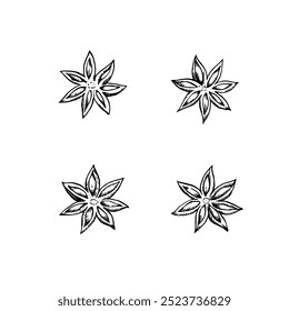 Star anise seeds isolated on white background. Hand-drawn vector illustration in black and white engraving style.
