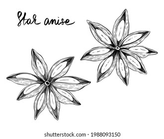 Star anise set, monocrome vector
