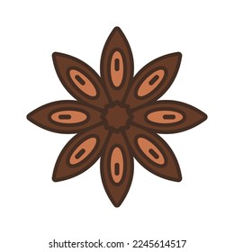 Star anise spice of badian fruit and seed. Christmas food and drink. Vector color illustration.