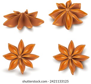 Star Anise, composición de especias para aromaterapia o cocina en un estilo realista. Eps 10. Hierbas y especias