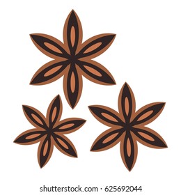 Star anise spice icon flat isolated on white background vector illustration