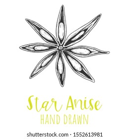 Star anise spice pod hand drawn vector illustration, isolated sketched drawing.