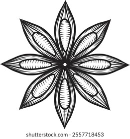 	
Star anise spice vector hand drawn illustration in sketch style. Shaded black and white drawing for packaging and design. Line art of aromatic plant