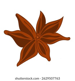 star anise spice vector illustration isolated on white background