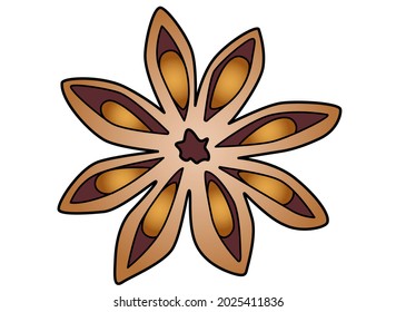 Star anise - spices vector full color illustration for a logo. Spices - star anise - vector element for illustration