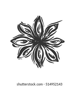 Star anise. Vector botanical illustration with pen and ink. Spice. Isolated vintage image on a white background. Hand-drawn sketch.