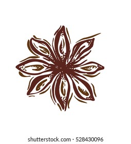 Star anise. Vector botanical illustration with pen and ink. Spice. Isolated vintage image on a white background. Hand-drawn sketch.