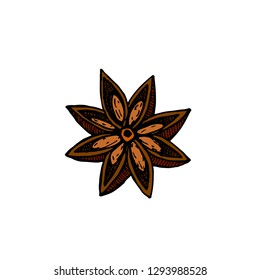 Star Anise Vector drawing. Hand drawn sketch. Seasonal food illustration isolated on white. Engraved style spice and flavor object. Cooking and aromatherapy ingredient.