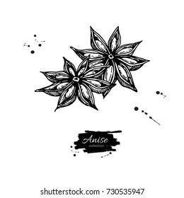 Star Anise Vector drawing. Hand drawn sketch. Seasonal food illustration isolated on white. Engraved style spice and flavor object. Cooking and aromatherapy ingredient.