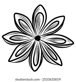 Ilustração de vetor de anis estrelado sobre fundo branco, tinta e estilo de caneta, preto e branco 