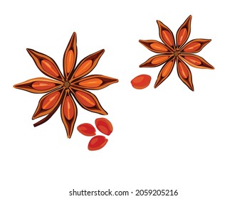 Star Anise: vector illustration of spice and spice logo, isolated white background