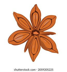 Star Anise: vector illustration of spice and spice logo, isolated white background