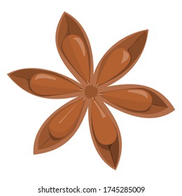 Star anise vector isolated. Brown aromatic organic spice. Spicy condiment, natural ingredient.