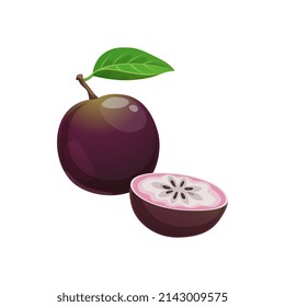 Star apple fruit whole and cut isolated exotic tropical food. Vector Chrysophyllum cainito or caimito, tar or purple star apple, golden leaf tree, abiaba, pomme de lait, estrella, milk fruit and aguay