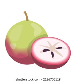 Vector de manzana estrella aislado. Fruta exótica, producto jugoso a la mitad. Comida dulce, forma estrella de la pulpa de fruta.