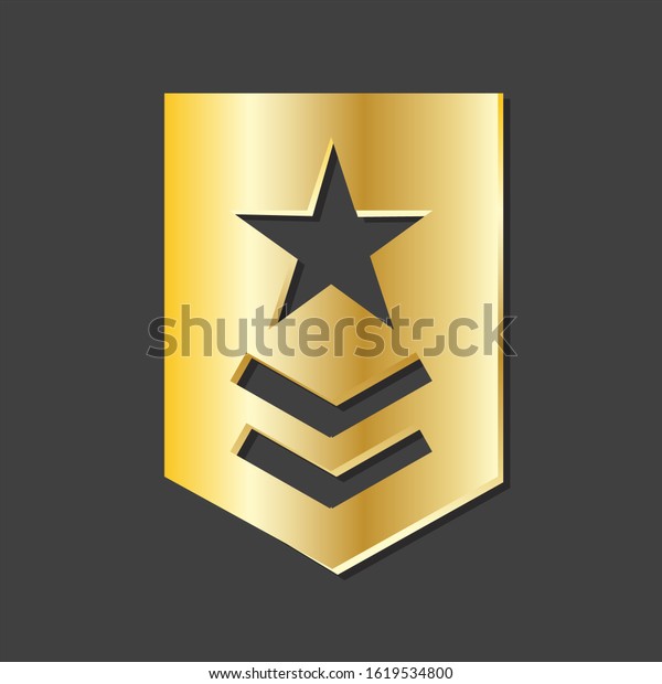 Star Badge Emblem Vector Logo Template Stock Vector (Royalty Free