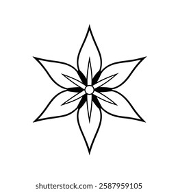 Star of bethlehem flower vector on white background