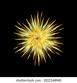 Star Burst, Explosion, Fiery Sparks, Firework Effect, Sun Blast Vector Design