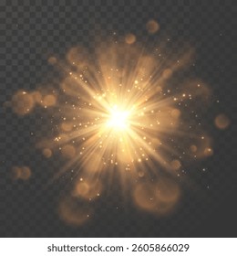 Star burst with sparkles. Light effect. Gold glitter texture.