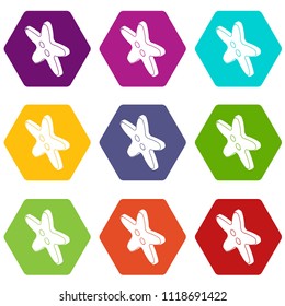 Star clothes button icons 9 set coloful isolated on white for web