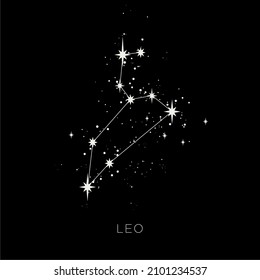 Star constellation zodiac leo vector