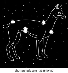 Star dog constellation.Vector line illustration.