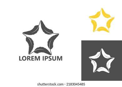 Star feather logo template design vector