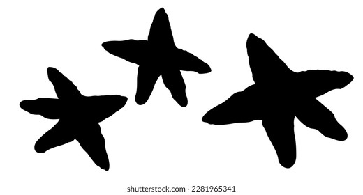 star fish in black design