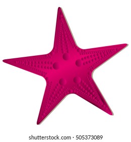 star fish icon image 