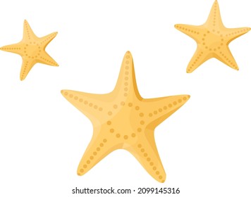 Star fish, illustration, vector on a white background.