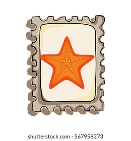 star fish isolated icon
