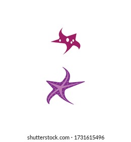 Star Fish Logo Template vector icon illustration design